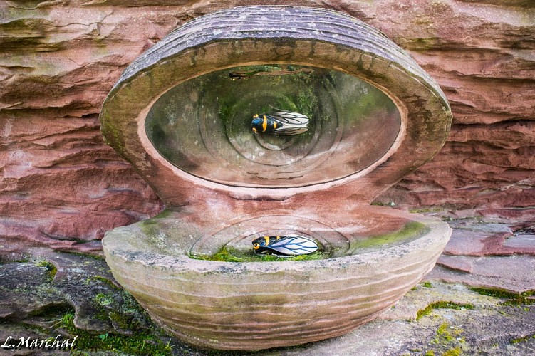 L'huitre géante du Jardin folâtre à Dinsheim-sur-Bruche