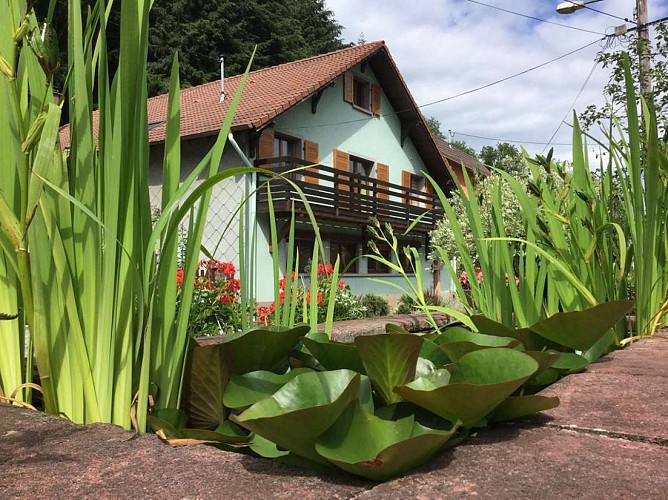 Gîte Sous les Frênes