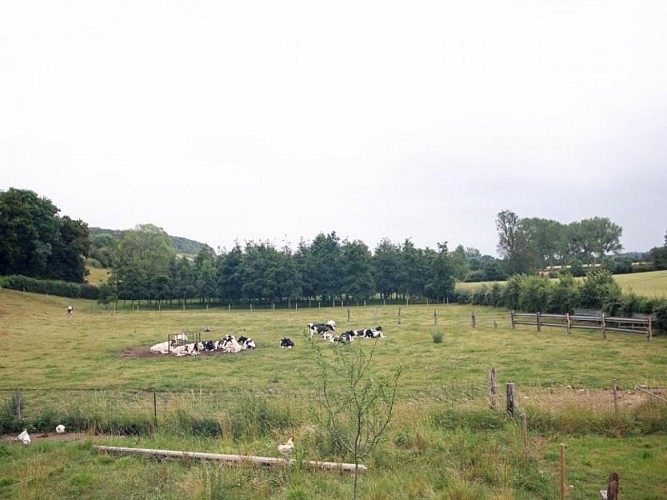 Gîtes de France® - Les Ecuries du Mesnil aux Moines
