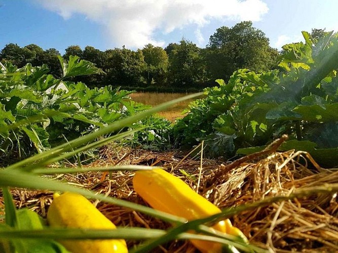 Gîtes de France® - Les Ecuries du Mesnil aux Moines