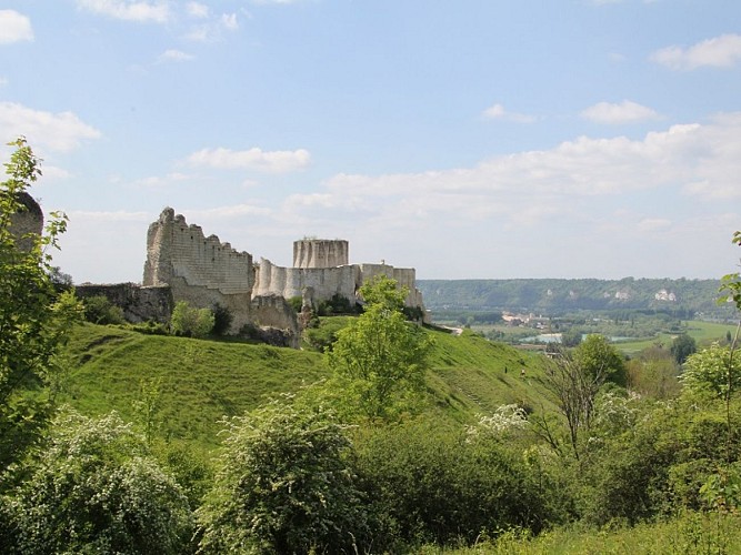 Château_Gaillard_crédit_L.ViaudCD27_redim