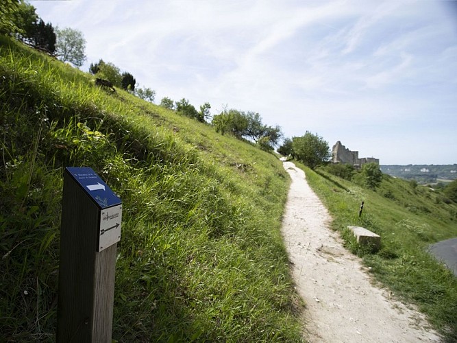 Chateau_Gaillard_S.BachelotCD27_redim