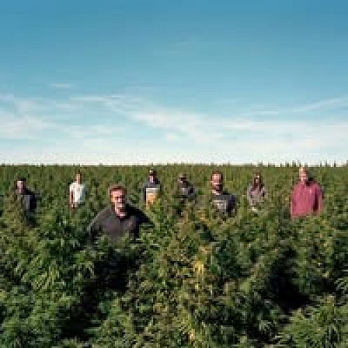 blur-effect