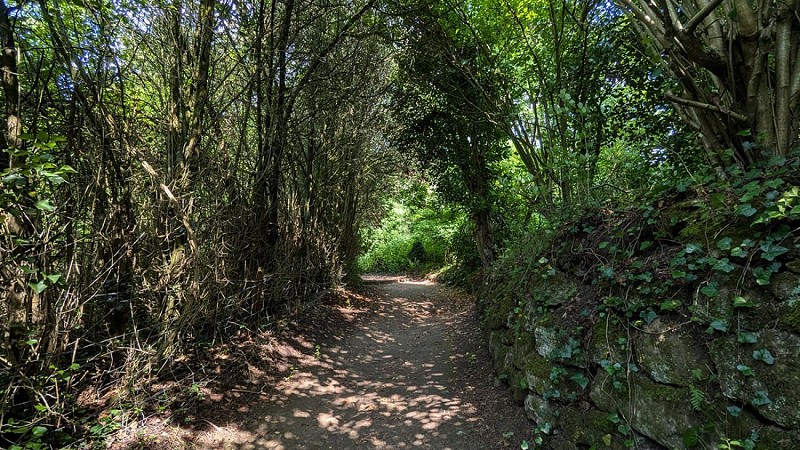 Sente des Valézys III