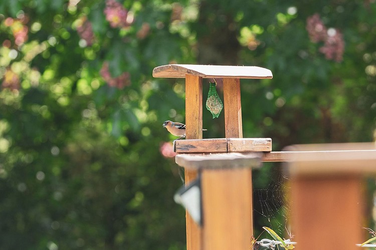 Tniy House du Lutin Many à Saint Christophe sur Condé