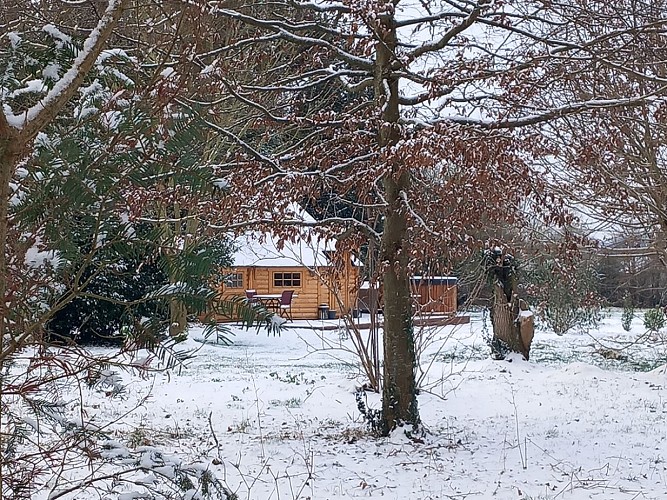 Le KotaLutin Many@M. Gentey (1)