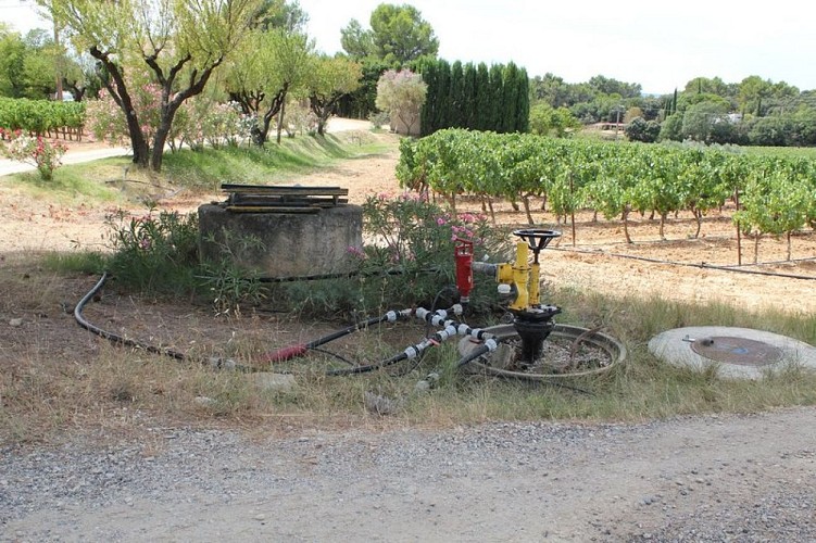 Système d'irrigation sous pression