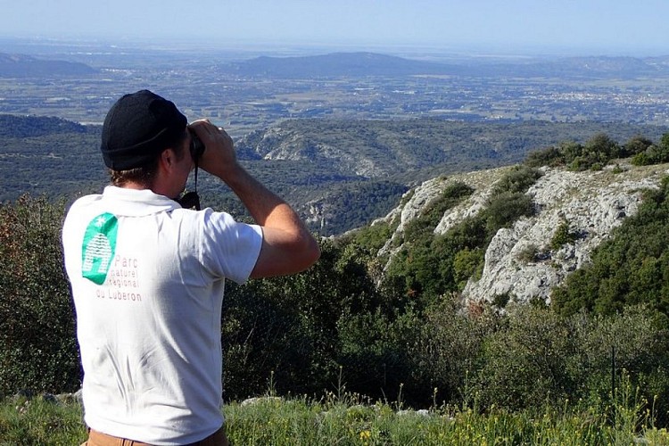 Agent du Parc en observation