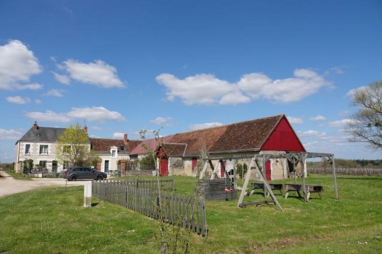 Les hirondelles du moulin 7 