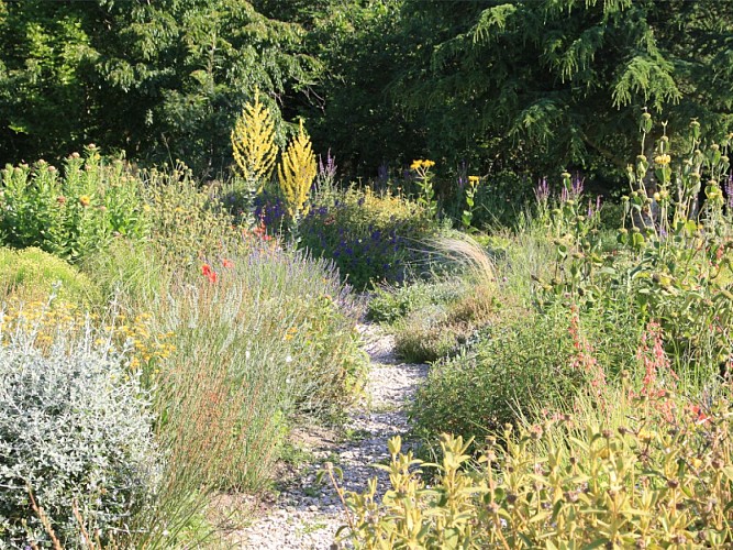 Jardin méditerranéen