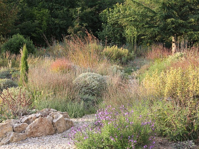 Jardin méditerranéen