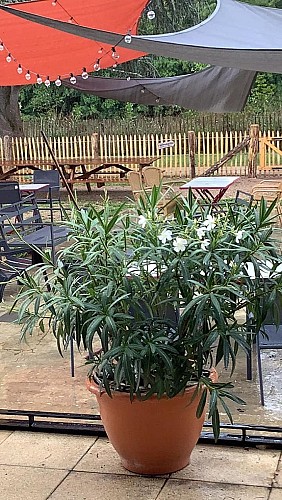 guinguette tambourinette terrasse 3