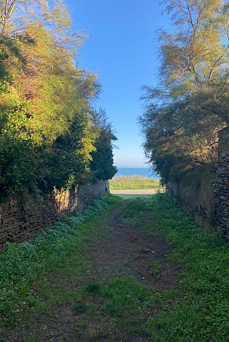 Chambre d'hôtes Sterne à Port Joinville, sur l'Ile d'Yeu en Vendée