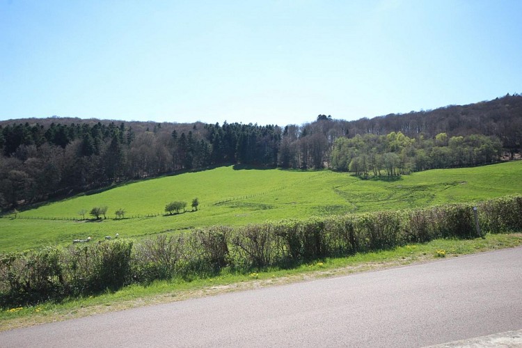 EDSB