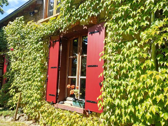 petit coucou à la cuisine_5