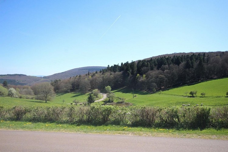 Point de vue Mont Beuvray