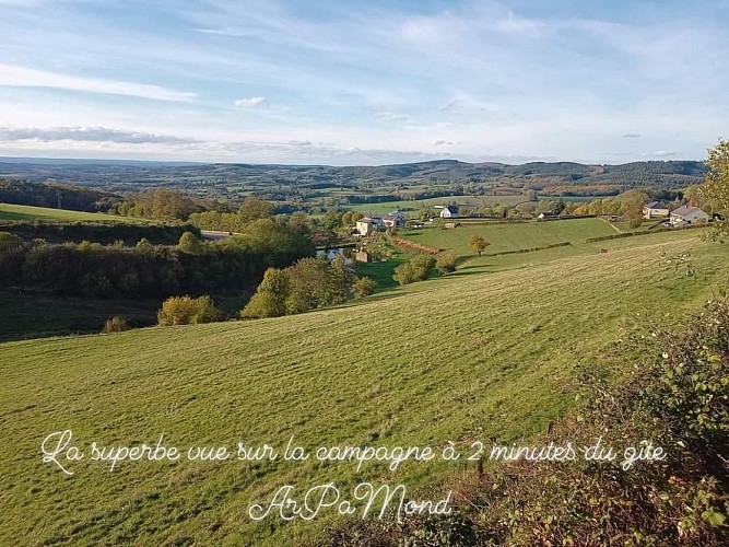 FB_IMG_1699903552372_2