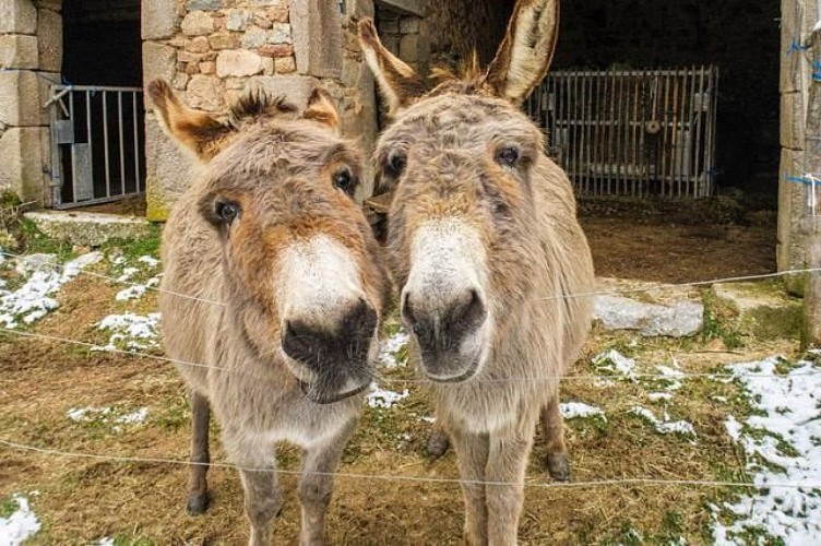 Grisette et Jade 3_5