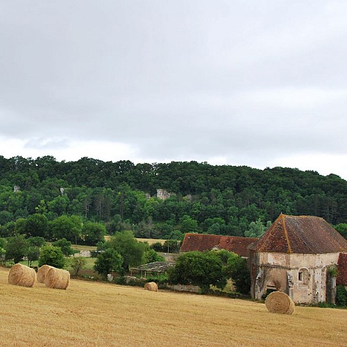 Chartreuse de Basseville