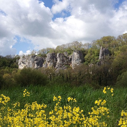 Chartreuse de Basseville