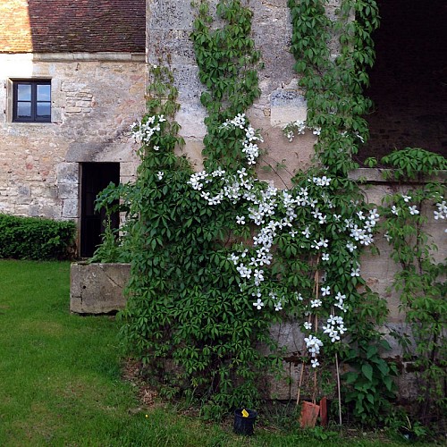 Chartreuse de Basseville