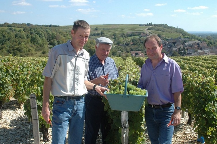 Domaine Pierre Marchand et Fils