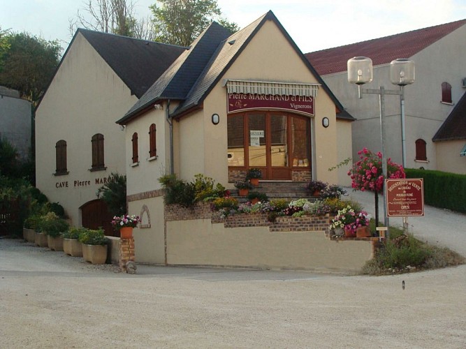 Domaine Pierre Marchand et Fils 69733197699552_8390346853688289436_n