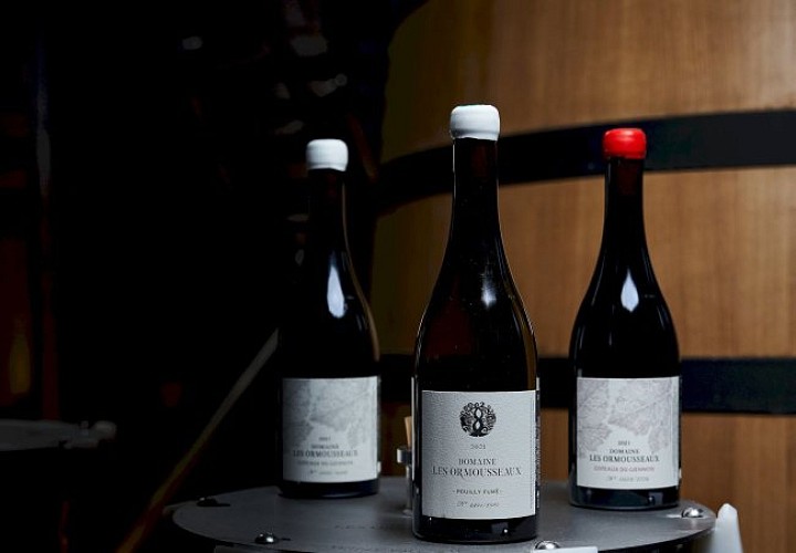 Domaine les Ormousseaux