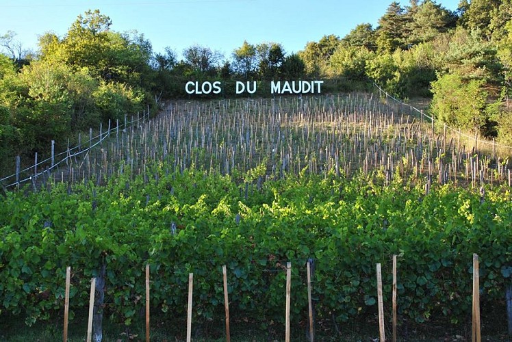 14470804_603656063154580_952118725_n