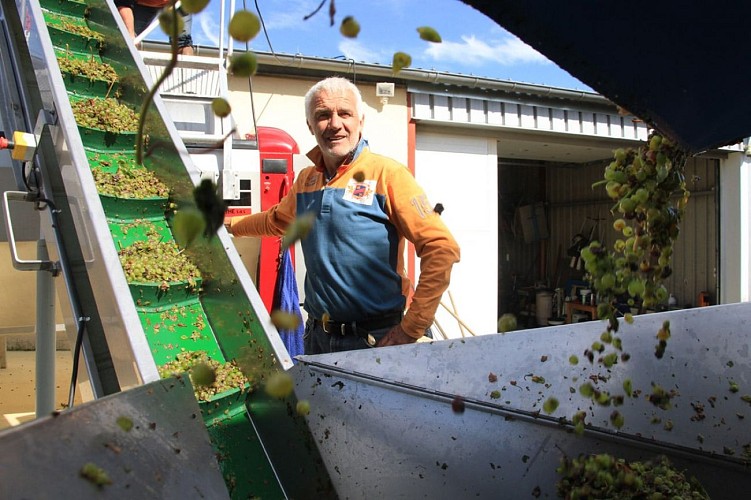 Domaine Régis Minet - Lucia Mineur Billet