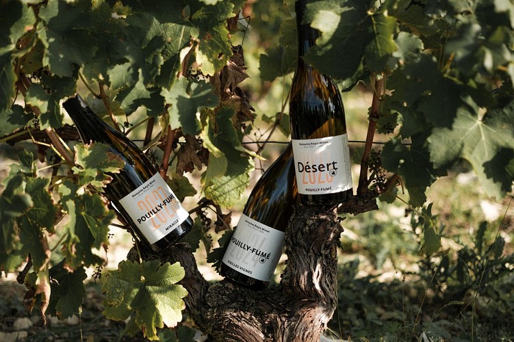 Domaine Régis Minet - Lucia Mineur Billet