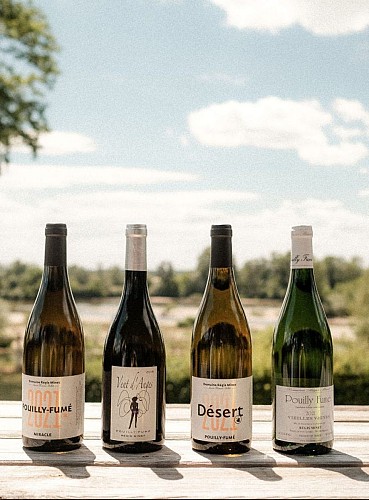 Domaine Régis Minet - Lucia Mineur Billet