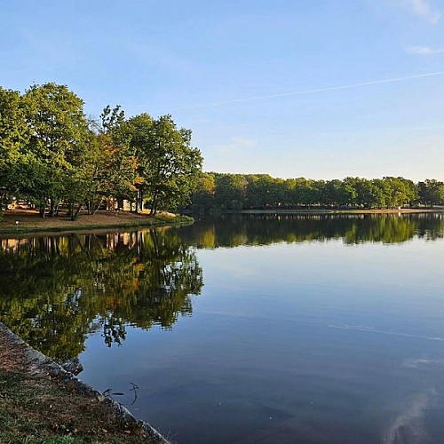 photos de l'étang du Merle 