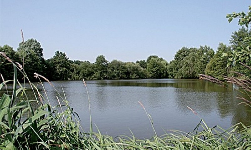 Etangs Moulin
