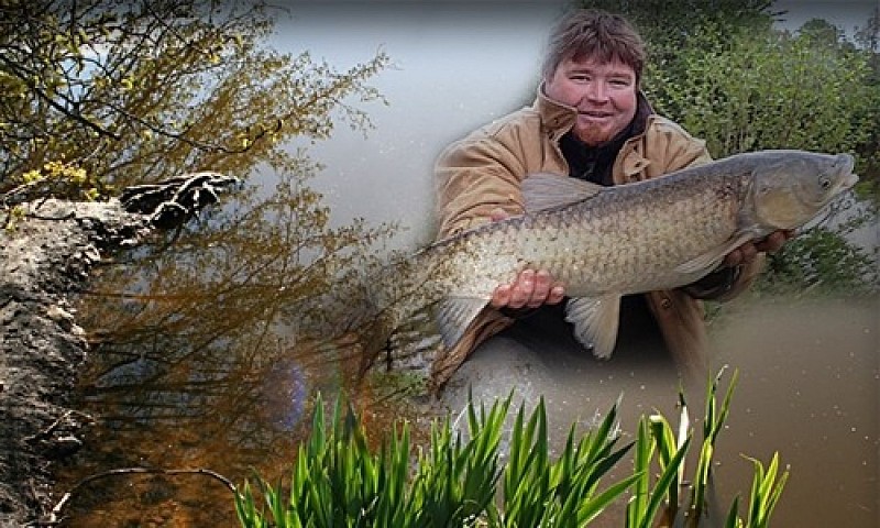Les Etangs du Moulin
