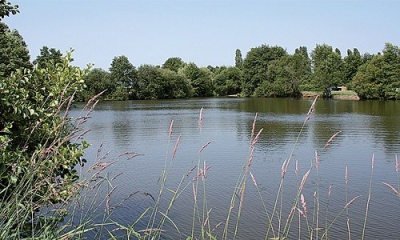 Les Etangs du Moulin