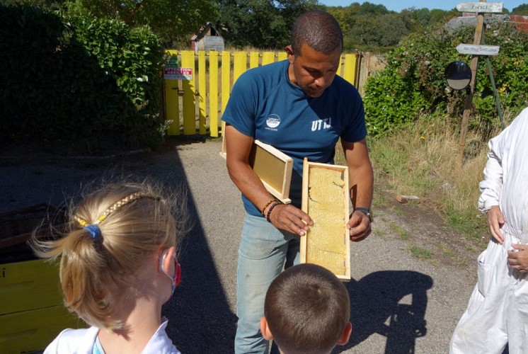 Rucher-BoisAnzeray-ruche