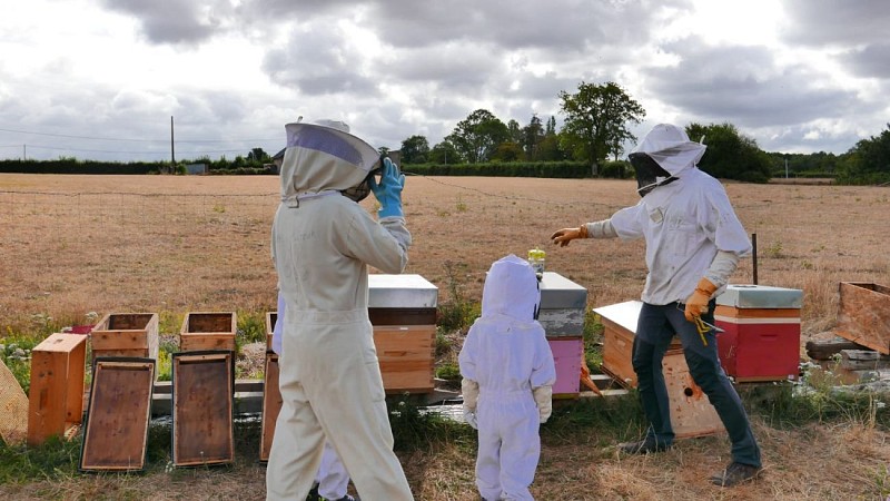 WhatsApp Image 2020-08-04 at 11.41.31