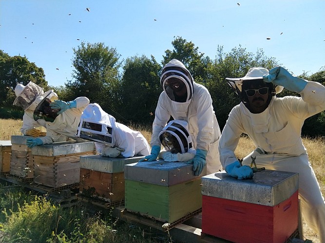 Le Rucher des Authieux