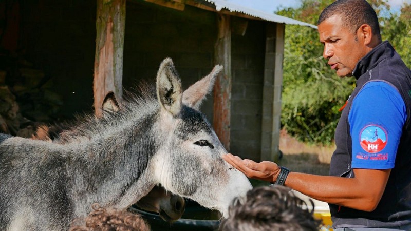 Le Rucher des Authieux