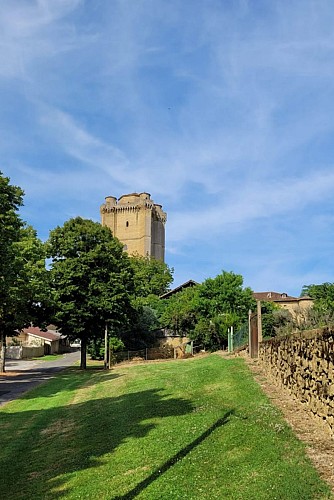 Donjon de Bassoues