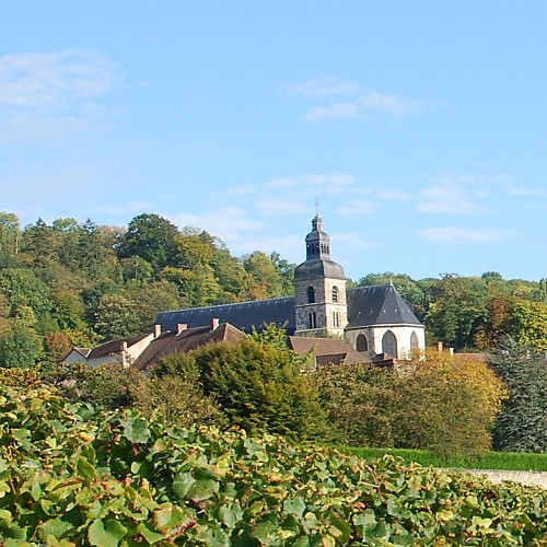 Abbaye Saint-Pierre d'Hautvillers (Propriété privée)