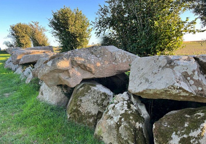 Allée couverte de Mélus