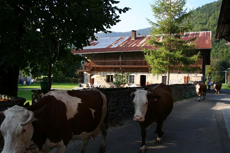 Le village des Vallons et sa chapelle