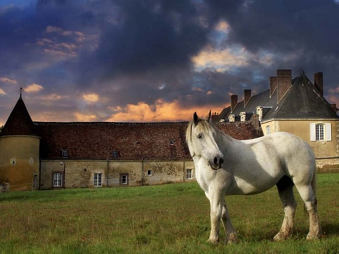 Château de L'Hermitière - Val au Perche