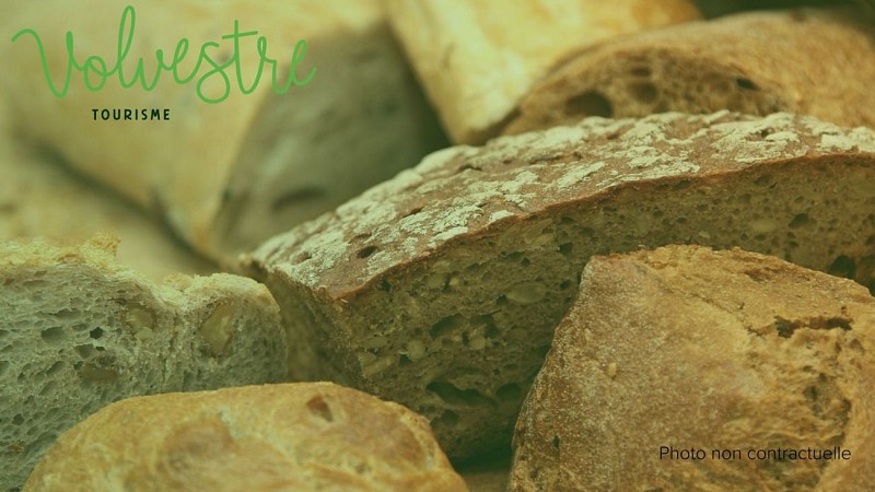 Marron et Orange Neutre Délicat Bio Mode Marketing Présentation - Cover Page