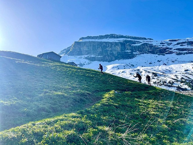 Sorties trail accompagnées