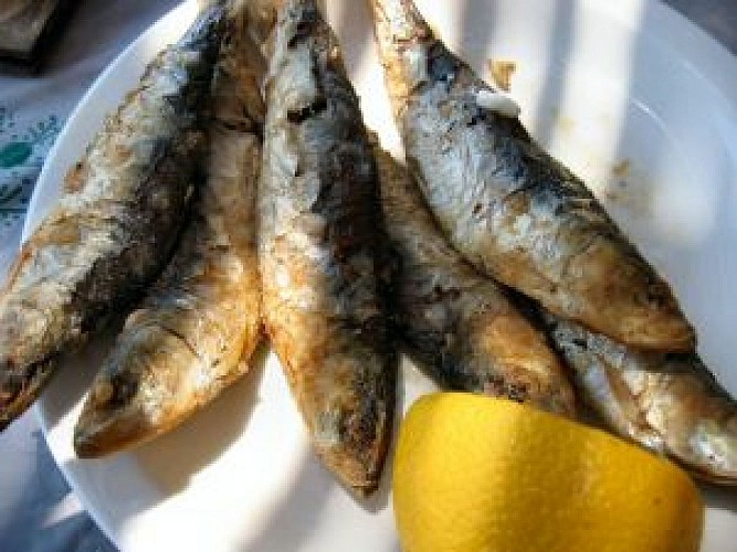 Sardine