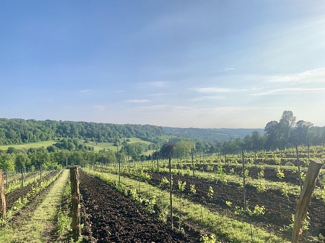 Domaine des Deserts Marolles