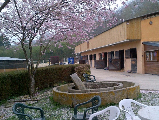 PHOTOS CLUB + PONEYS (1)